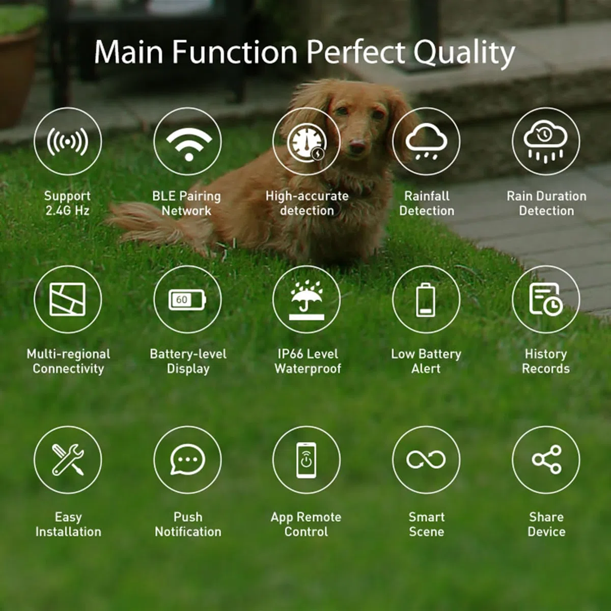 Hancaner WLAN Regen Sensor Smart Regenmesser WiFi Regendetektor mit IP66 wasserdicht App Steuerung für Garten Bewässerung Automatisierung