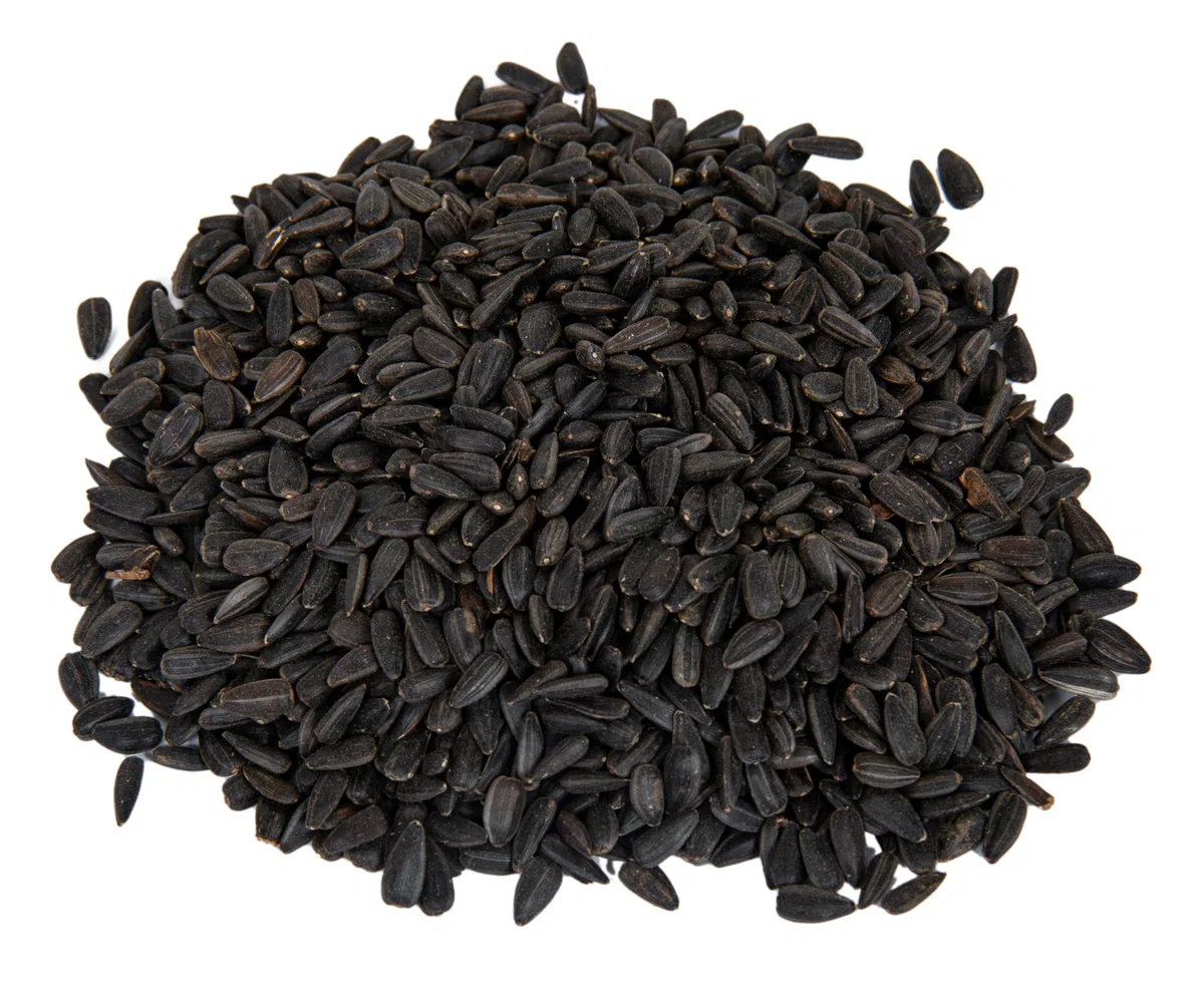 Futterhof Schwarze Sonnenblumenkerne 25 kg