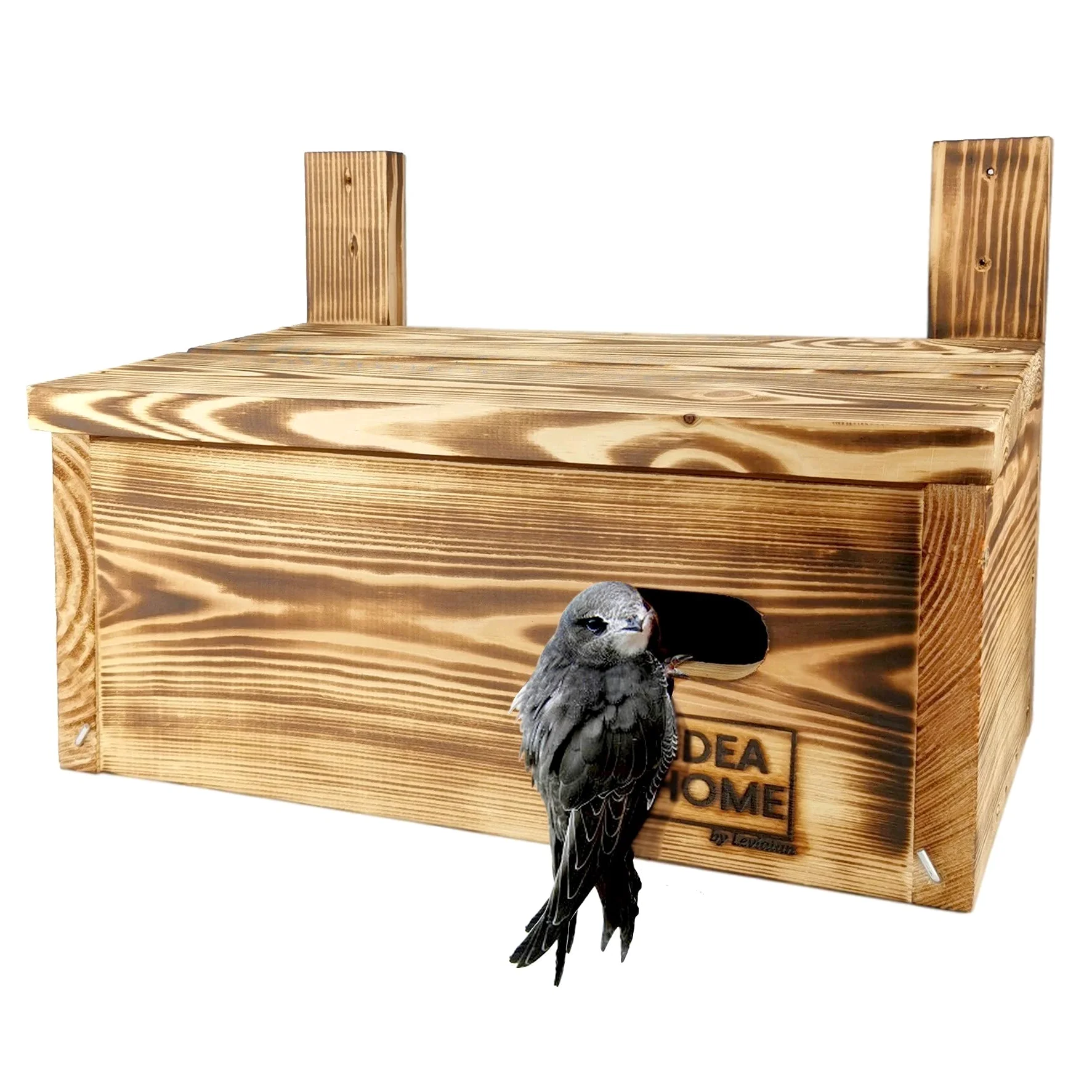 Leviatan IDEA HOME APUS Nistkasten für Mauersegler, Vögel, aus Massivem-Holz - Verschraubt