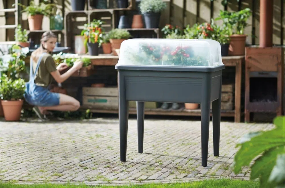 elho Green Basics Anzucht Haus XXL 75 - Zubehör für Züchten und Ernten - Ø 74.8 x H 22.3 cm - Transparent