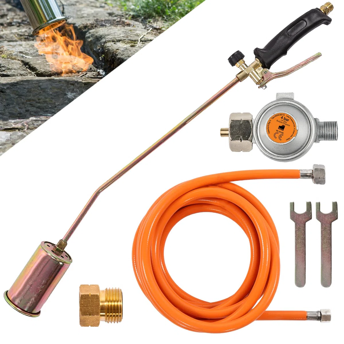 Fepro Gasbrenner Abflammgerät inkl. 4,5m Schlauch, 4 bar Druckminderer und Zubehör, 58kW - ideal für Unkrautvernichtung, Anzünder, Bitumenbahnen schweißen uvm.