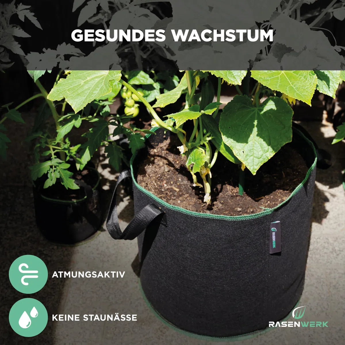 40 Liter Pflanztasche aus Vliesstoff - Pflanzsack für Garten, Gewächshaus & Balkon - Pflanzbeutel für Blumen, Tomaten und Pflanzen - Ideale Alternative zum Blumentopf - 5 Stück
