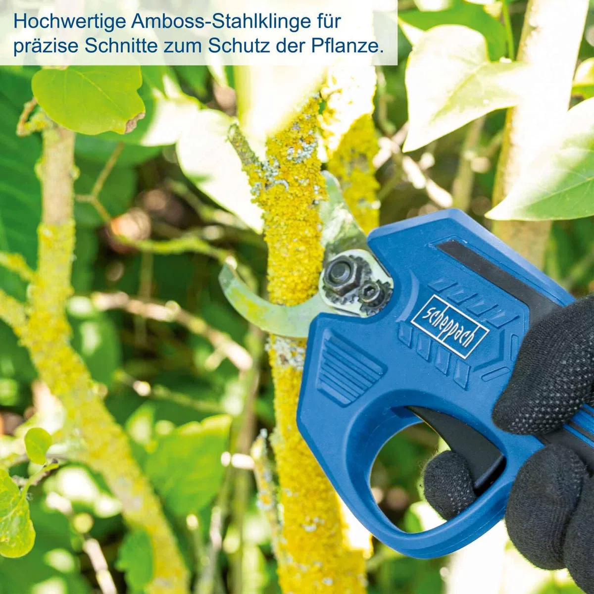 Scheppach Akku Astschere BC-PRS28-X | Schnittdurchmesser 15 & 28mm | Amboss Stahlklingen, Softgrip & Handschutz | Brushless Strauchschere | 20V-IXES-Serie | 10 Jahre Garantie | Ohne Akku & Ladegerät