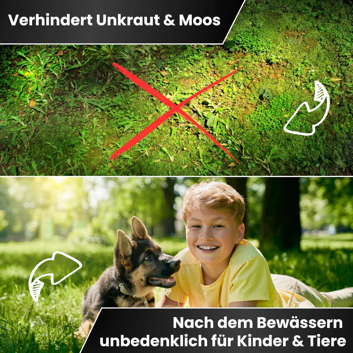 Greenyp Instant Rasendünger Frühjahr I 20kg für 800m² I mit blitzschneller Sofortwirkung für Frühjahr bis Spätsommer I verhindert Moosbildung I NPK Dünger Rasen Dünger