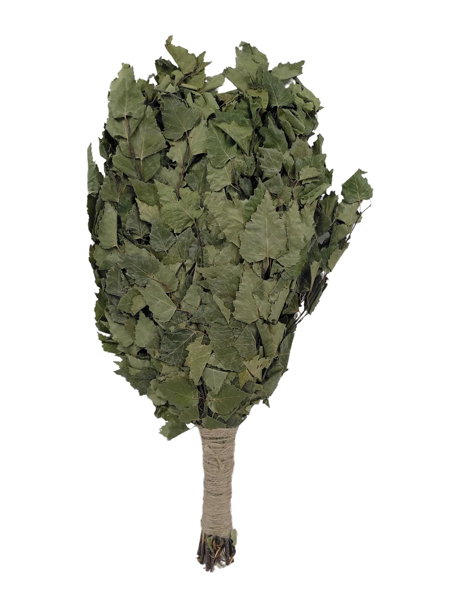 Dufte Momente Birken Reisig Wenik Quast für Sauna Banja 50-60cm 190g