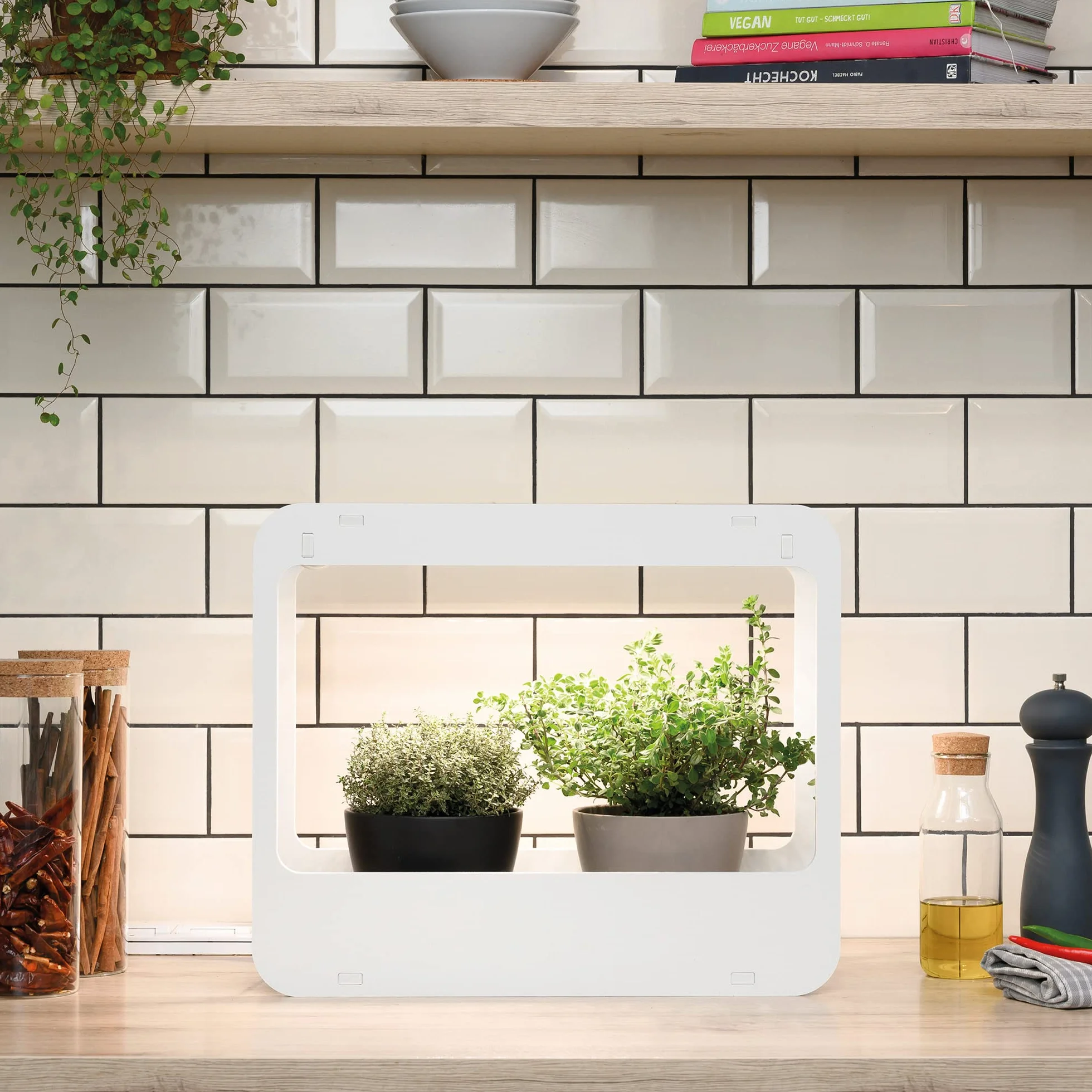 Romberg Home Garden Mini Gewächshaus mit LED Wachstumslampe für Pflanzen, LED Pflanzenlampe Vollspektrum, 14W Grow Light für Basilikum Topf, Minze Samen und Rosmarin Pflanze, 50.5x21x40 cm