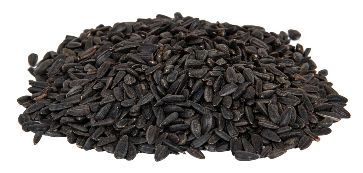 Futterhof Schwarze Sonnenblumenkerne 25 kg