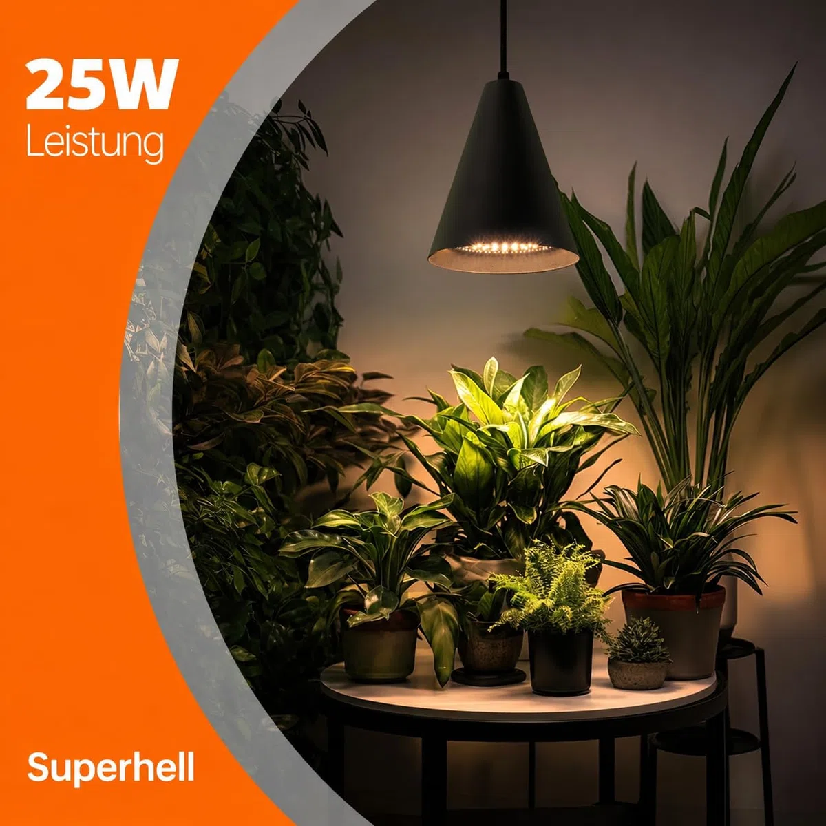 Bstrip LED Pflanzenlampe Hängend mit Timing und Hängendem System, 25W Vollspektrum 3000K Grow Lampe, 4H/9H/14H Timer, 5m Kabel & Deckenclips für Zimmerpflanzen und Blühen