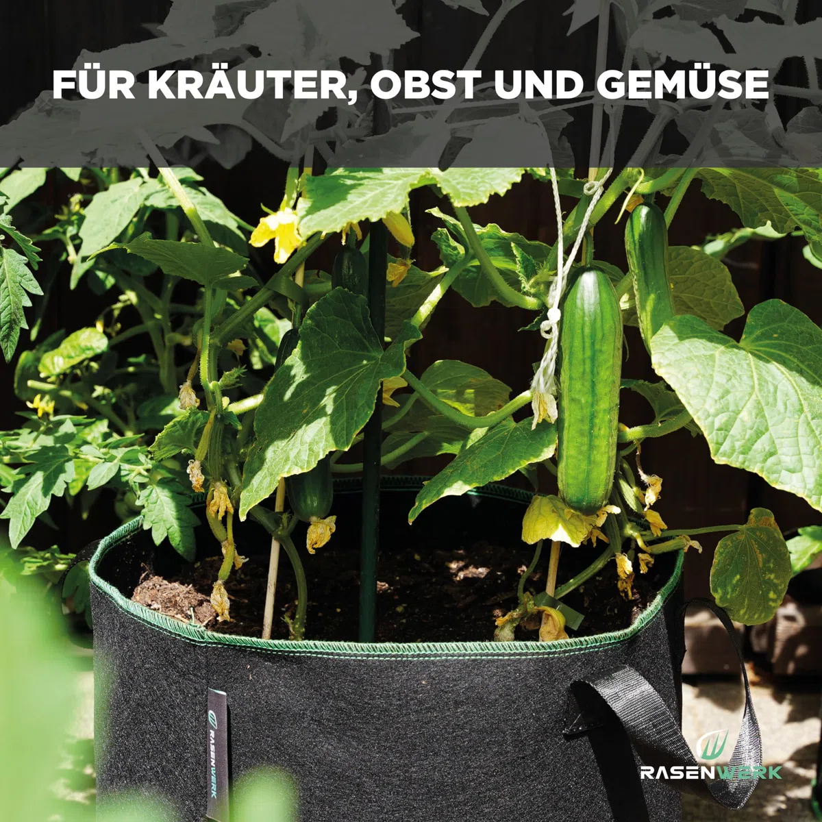40 Liter Pflanztasche aus Vliesstoff - Pflanzsack für Garten, Gewächshaus & Balkon - Pflanzbeutel für Blumen, Tomaten und Pflanzen - Ideale Alternative zum Blumentopf - 5 Stück