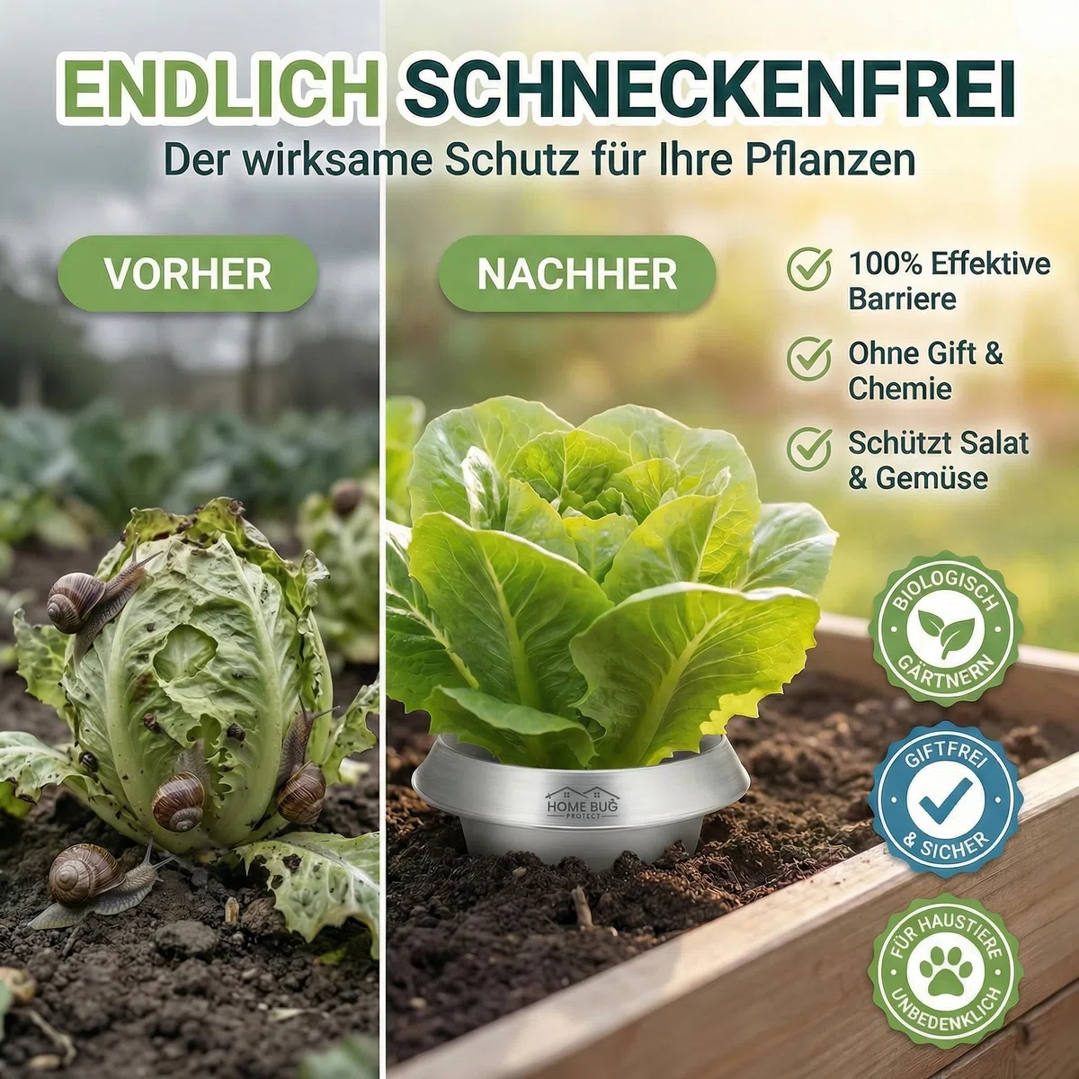 Schneckenkragen aus Metall – effektiver Schneckenschutz für Hochbeet, Garten & Gemüsebeet – galvanisiert & wiederverwendbar – Schneckenschutzring