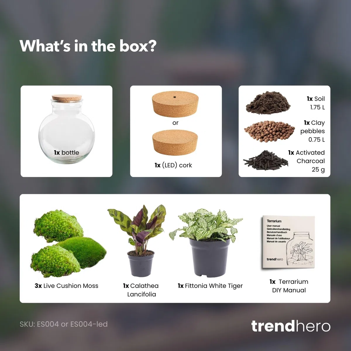 urbanjngl - Teddy Pflanzen Terrarium mit Licht - DIY Kit für EIN grünes Ökosystem - Durchmesser 25 cm, Höhe 26,5 cm - Ideal für Pflanzenliebhaber und Dekoration