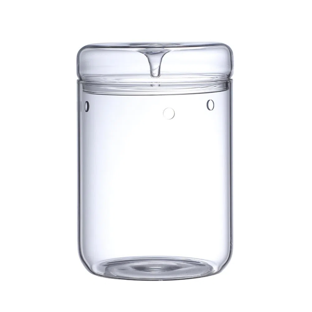 Mikro-Landschaftsglasterrarium mit Tausammeldeckel, Bonsai-Vase Aus Glas, Mikroskopische Landschaft, Ökologische Flasche L
