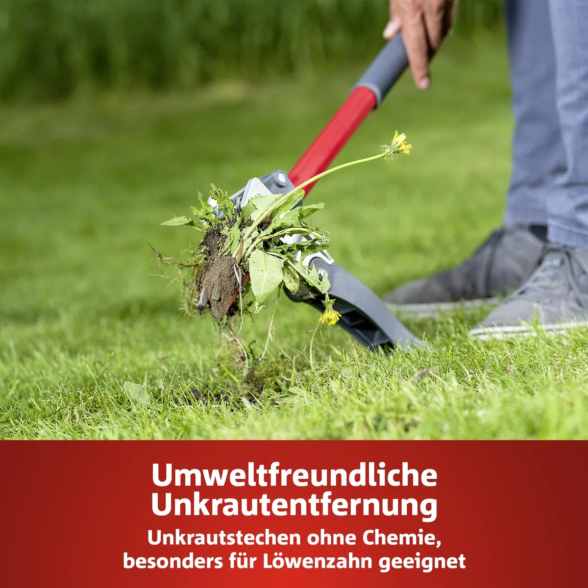 Wolf IW-A Unkrautstecher