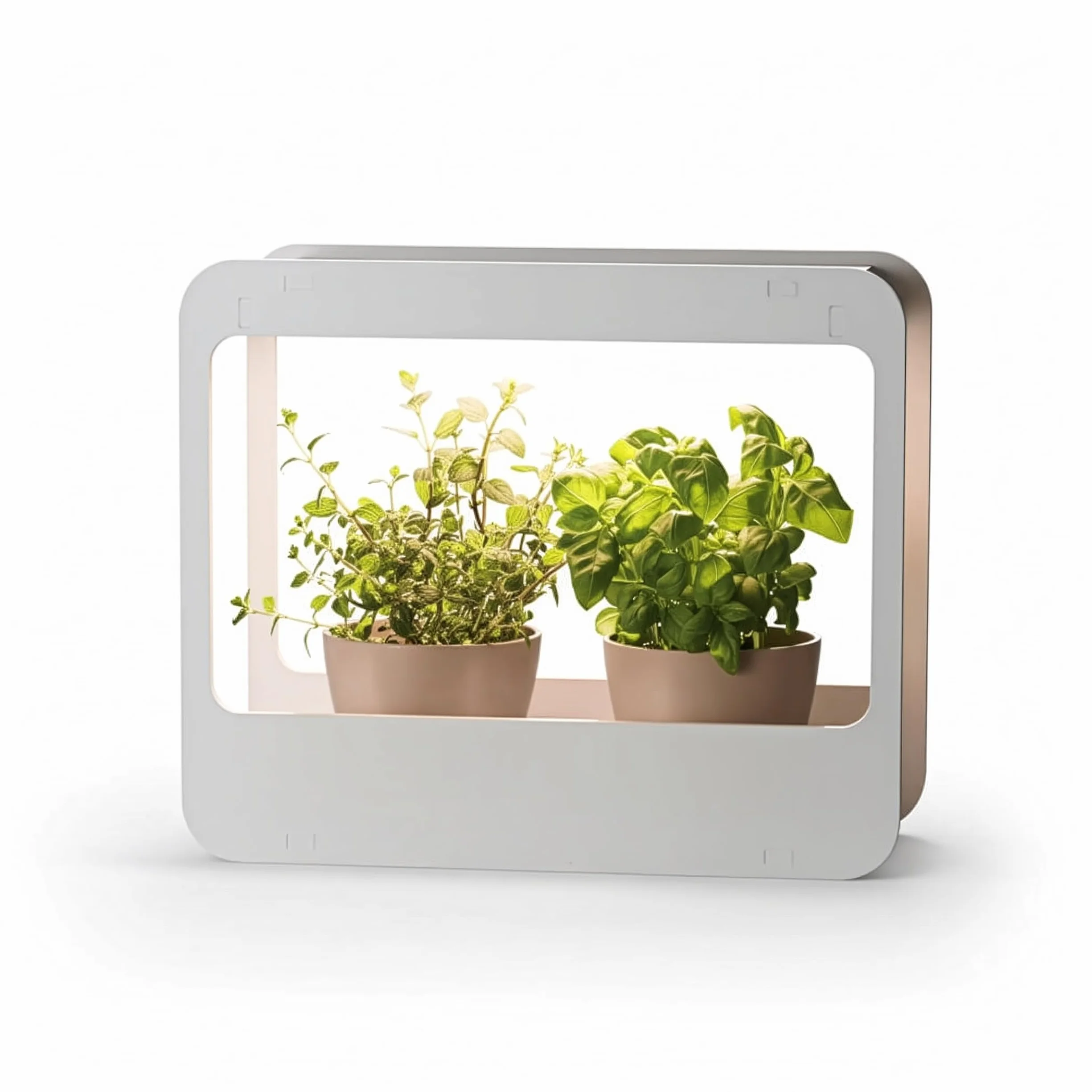 Romberg Home Garden Mini Gewächshaus mit LED Wachstumslampe für Pflanzen, LED Pflanzenlampe Vollspektrum, 14W Grow Light für Basilikum Topf, Minze Samen und Rosmarin Pflanze, 50.5x21x40 cm