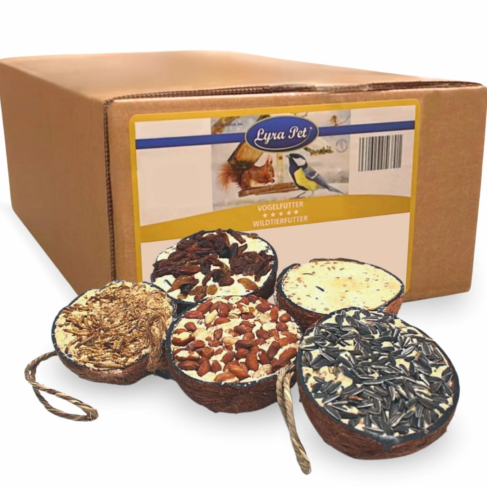 Lyra Pet® 3 x 10 Halbe Kokosnüsse gefüllt - Vogelfutter für Wildvögel | Kokosnuss mit verschiedenen Toppings - Wildvogelfutter Ganzjährig - Vitaminhaltig& Proteinreich - Fettfutter wie Meisenknödel