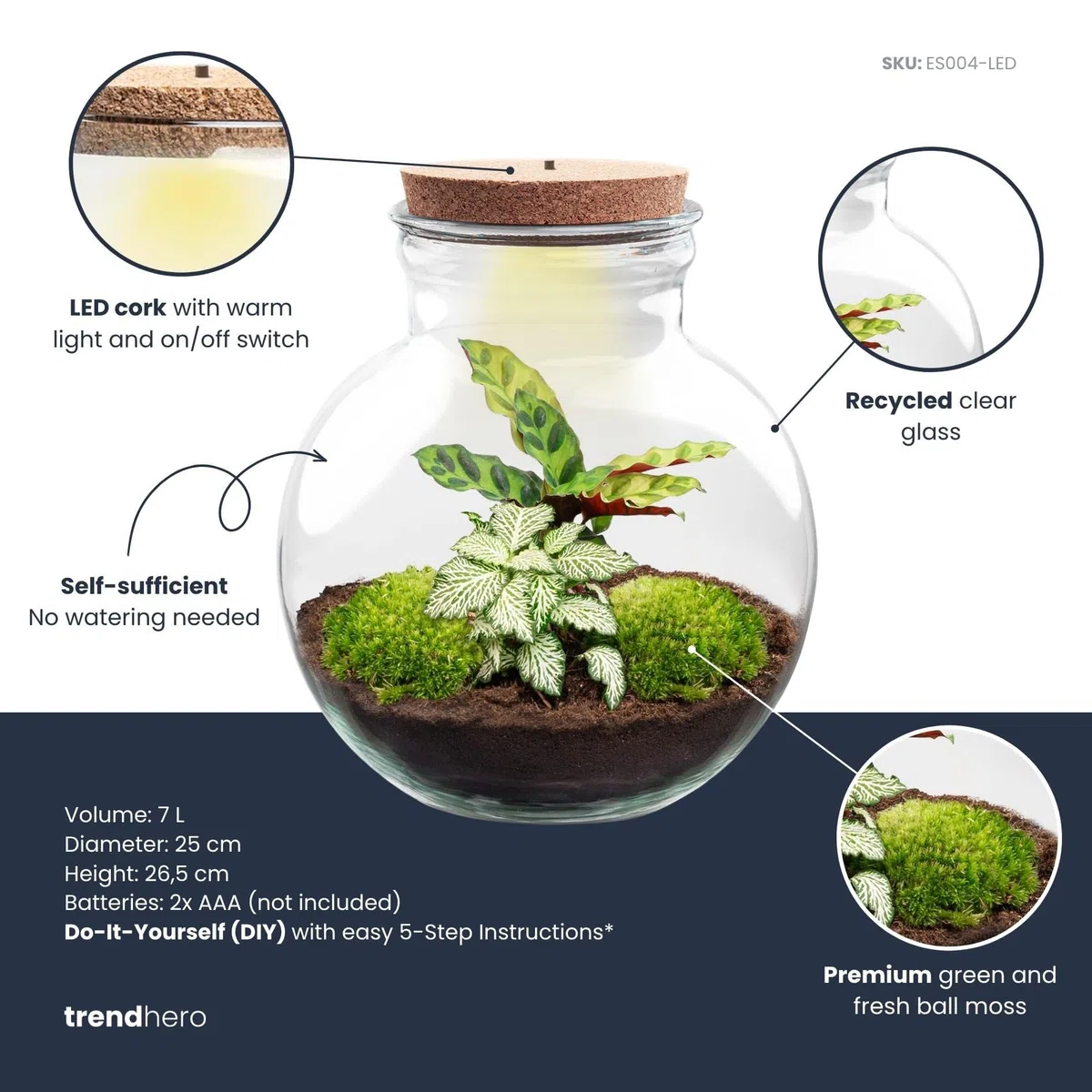 urbanjngl - Teddy Pflanzen Terrarium mit Licht - DIY Kit für EIN grünes Ökosystem - Durchmesser 25 cm, Höhe 26,5 cm - Ideal für Pflanzenliebhaber und Dekoration