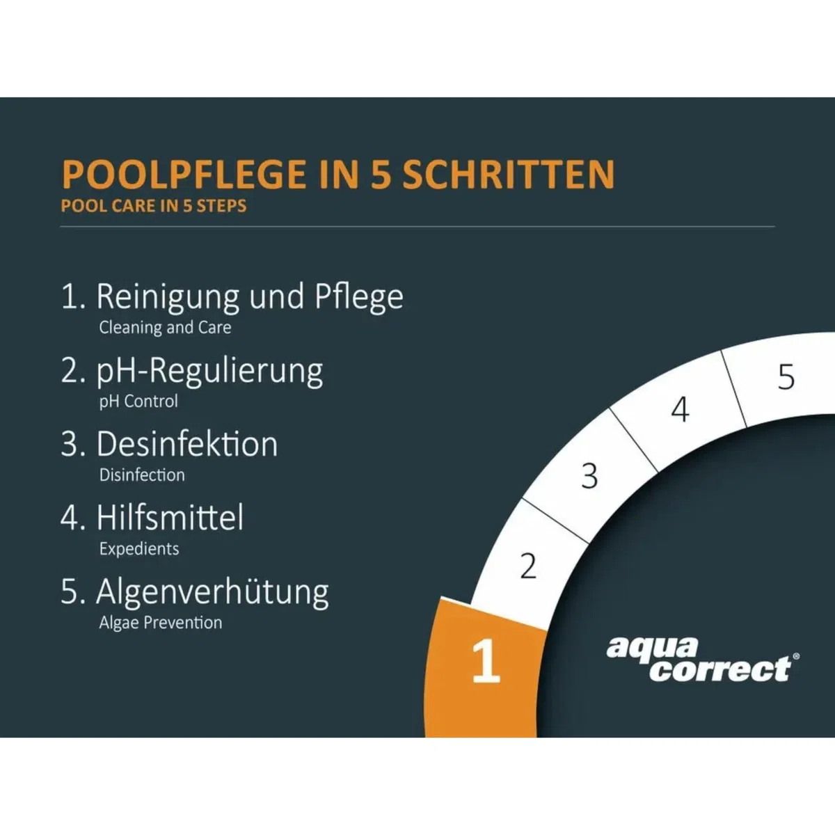Steinbach Poolpflege Quattrotabs 200 g langsamlöslich - 0752605TD00-5 kg - 4-in-1 Chlortabletten mit Flockungsmittel - pH-Stabilisator & Algenverhütung - Multifunktionstabletten
