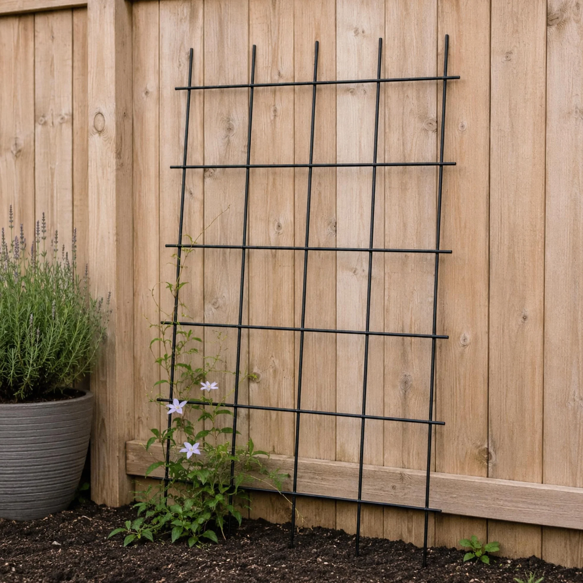 KADAX Rankgitter 75 x 150 cm, Gitterspalier für Garten, Pflanzen, Balkon, Terrasse, Metall Spalier, Rankhilfe, Klettergitter aus Stahl, Kletterhilfe, Rosenspalier, Pflanzengitter