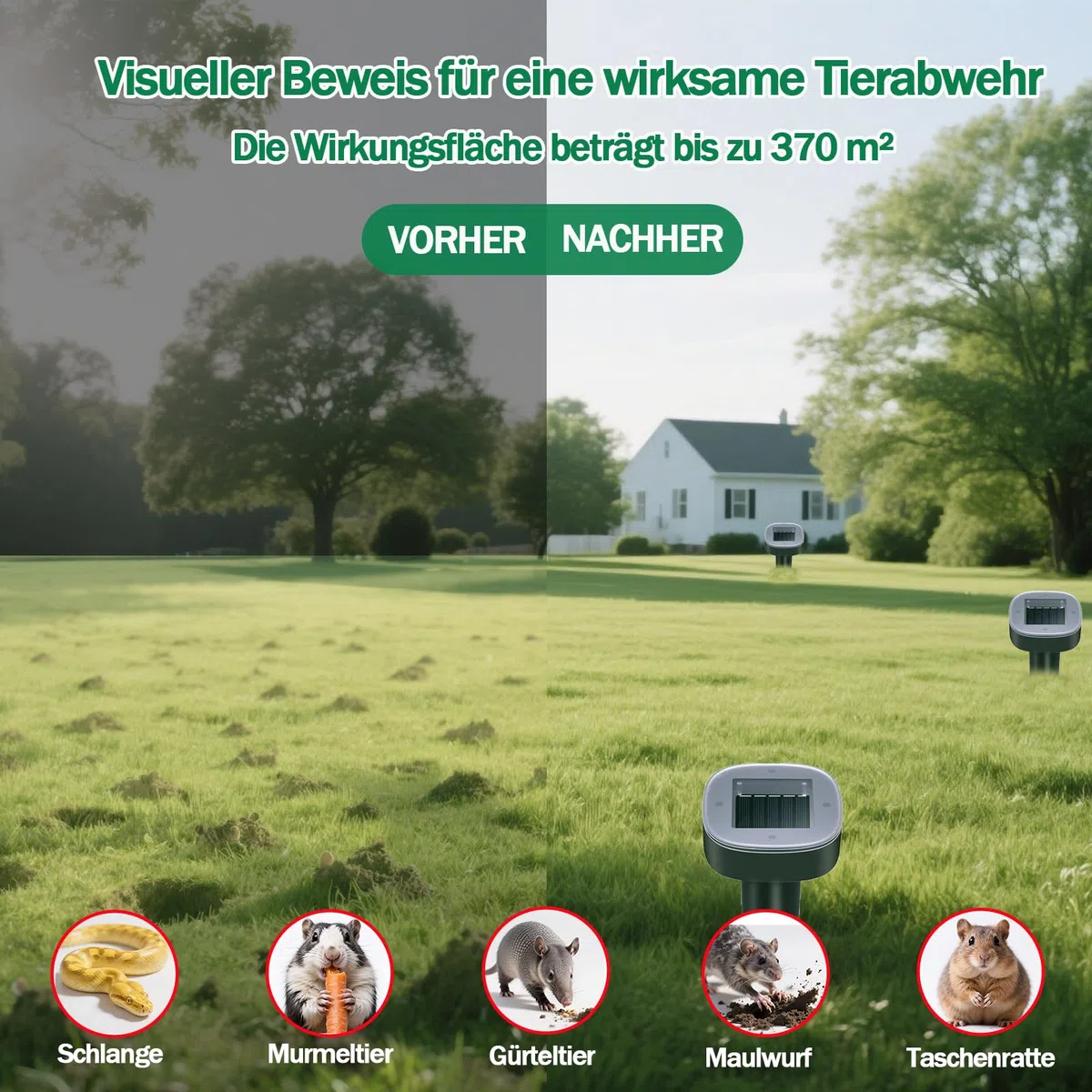 Maulwurf Vertreiber–Maulwurfschreck solar Testsieger, IP65 Geeignet zur Vertreibung von Maulwürfe und Anderen Nagetieren in Gärten Rasen (Runden 6 Pack)